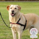 Trixie Trainingsgeschirr LeadnWalk Soft - L-XL