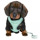 Trixie Junior Welpen-Softgeschirr mit Leine - flieder