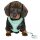 Trixie Junior Welpen-Softgeschirr mit Leine - flieder