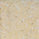 Beckenrandstein Set Rechteckbecken 600 x 300 cm | farbig sandgestrahlt mit Schwallkante