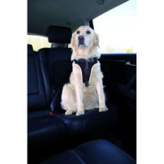 Trixie Auto-Sicherheitsgeschirr Dog Protect M: 50-65 cm
